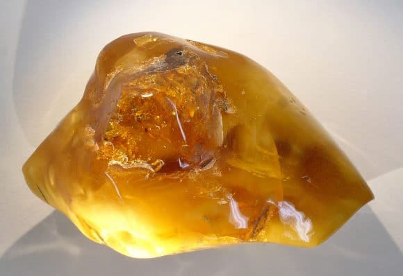 Dominican amber: a gem of the past
