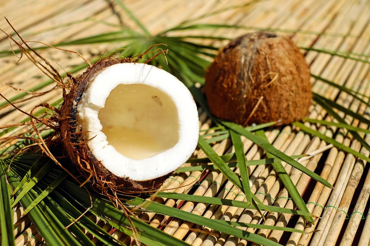 The benefits of coconut for your body