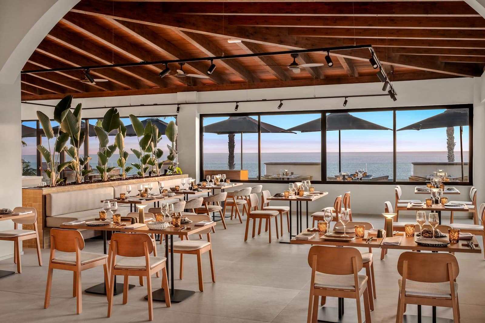 Restauracion Tenerife