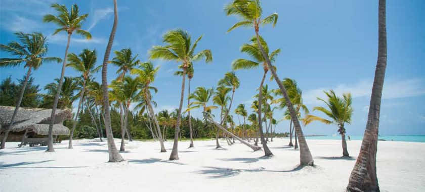 Guía Punta Cana