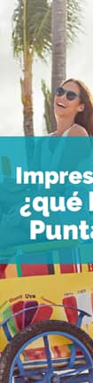 Detalle guía