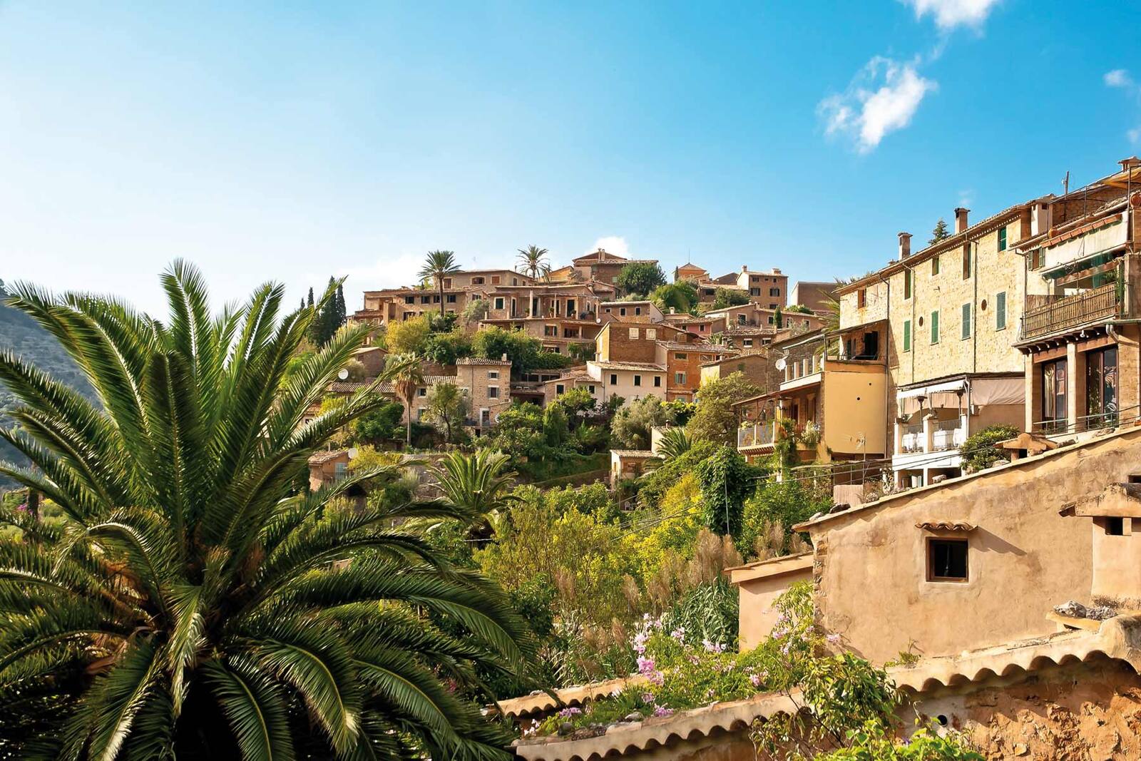 Actividades Hotel Piñero Tal