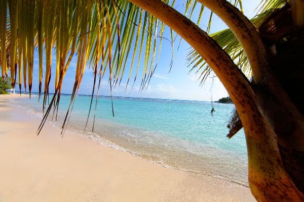 Playa Grand Bahia Principe Jamaica 3