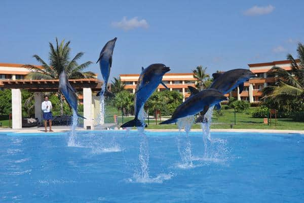 Dolphinaris at Grand Bahia Principe Coba