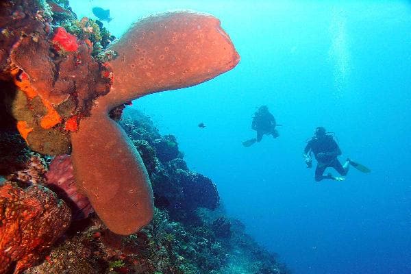 Things to do Resort Punta Cana 46