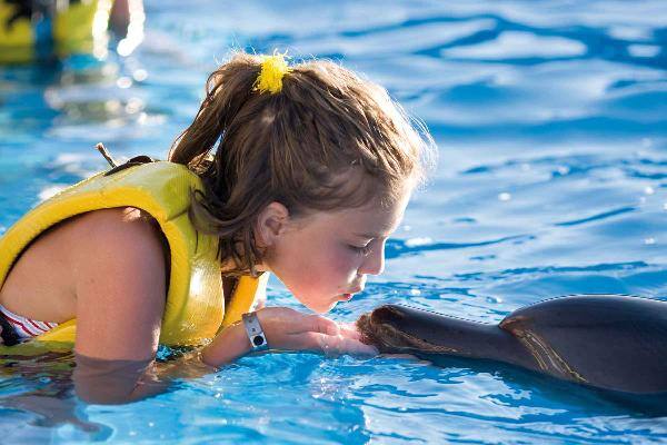 Dolphinaris at Grand Bahia Principe Coba 3