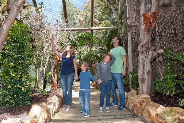 Jungle Park at Tenerife