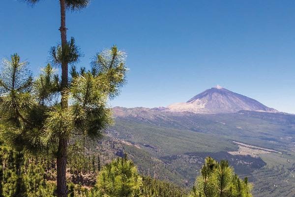 Teide National Park at Tenerife