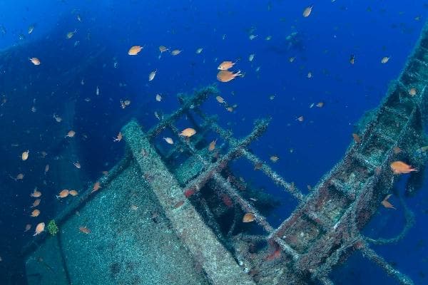 Submarine Safari at Tenerife