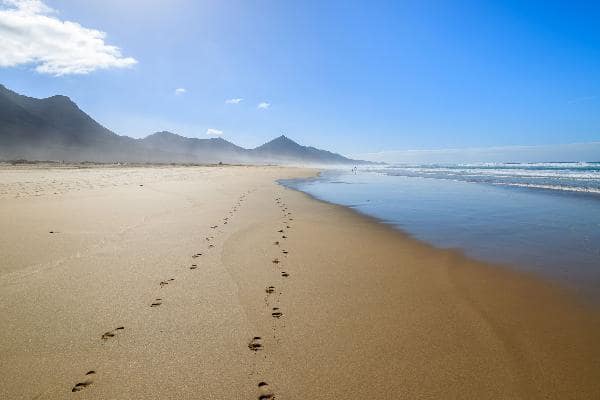 Submarine Safari and beach day at Tenerife