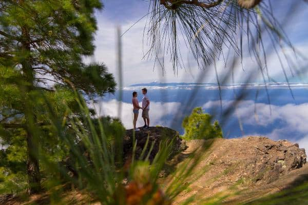 An island tour and lunch at Tenerife 1