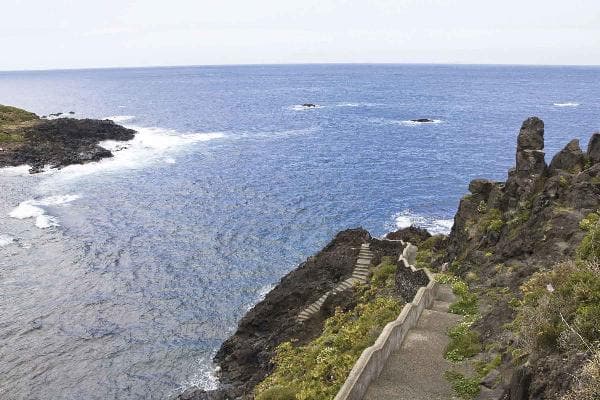 An island tour and lunch at Tenerife