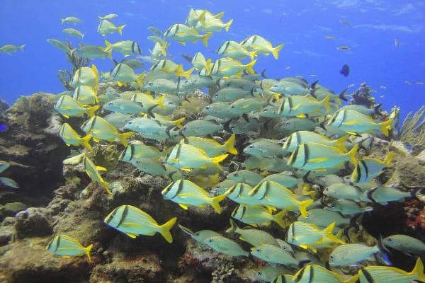Things to do Resort Punta Cana 32