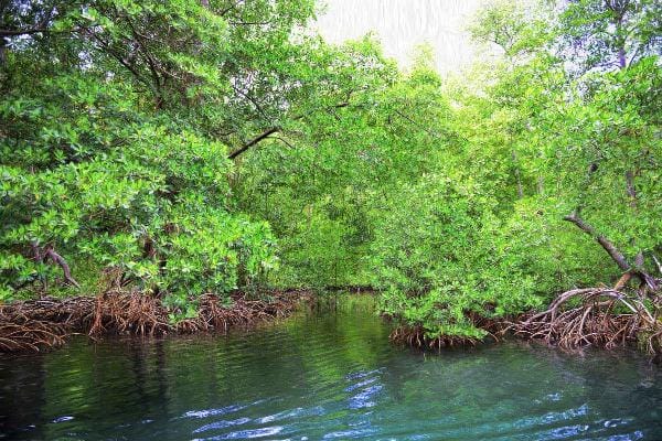 Excursion at Samana