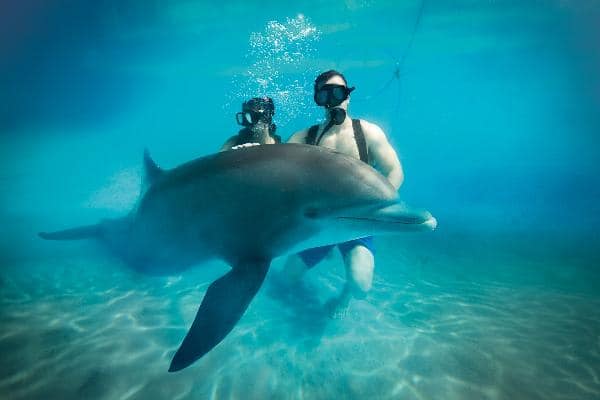 Things to do at Grand Bahia Principe Punta Cana 56