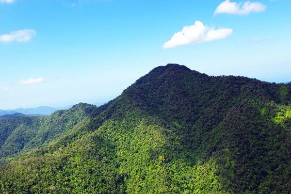 Mystic Mountain and Bobsled at Jamaica