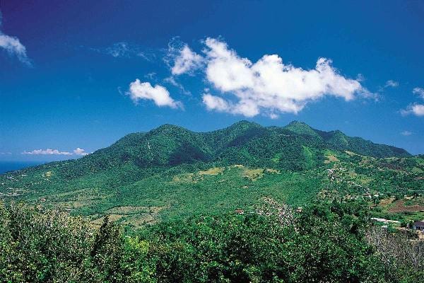 Mystic Mountain and Canopy Zip Line at Jamaica