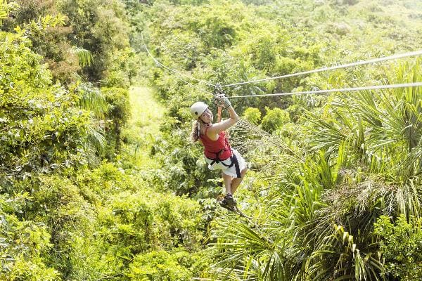 jamaica tour line