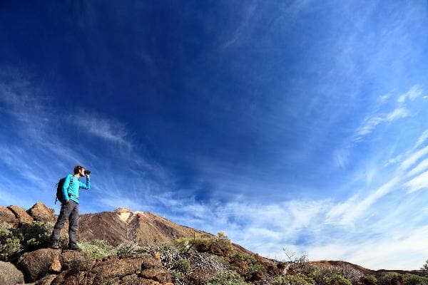 Mystic Mountain and Tranopy Tour at Jamaica