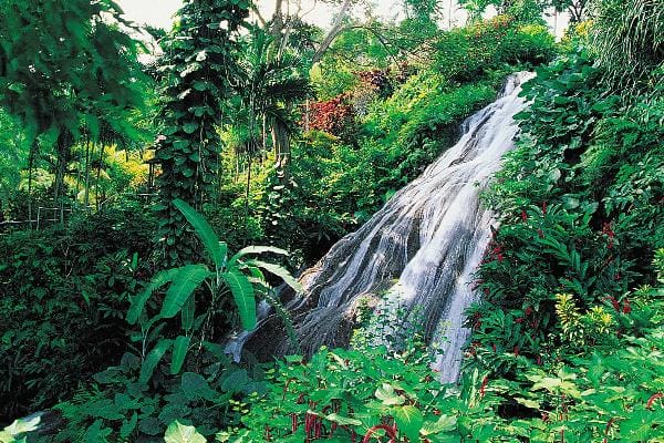 Four wheeling tour at Jamaica 2