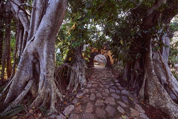 Cayo Levantado Resort - The Yubarta Gate