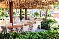 Gastronomy at Grand Bahia Principe Turquesa
