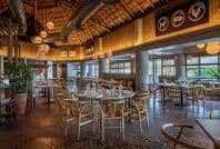 Gastronomy at Grand Bahia Principe Tulum