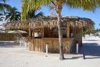 Naym at Bahia Principe Grand Jamaica