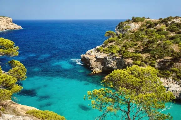 primavera en mallorca