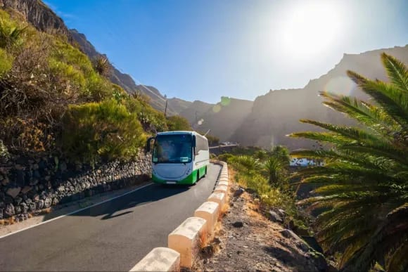 coche tenerife