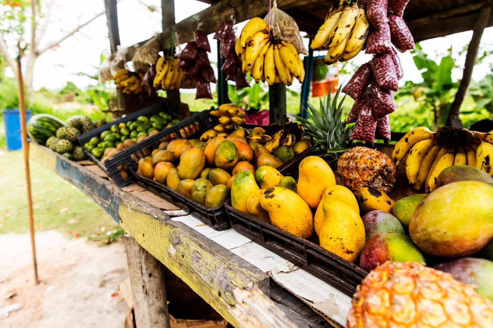 Descubre Olde Craft Market en Jamaica| Bahia Principe