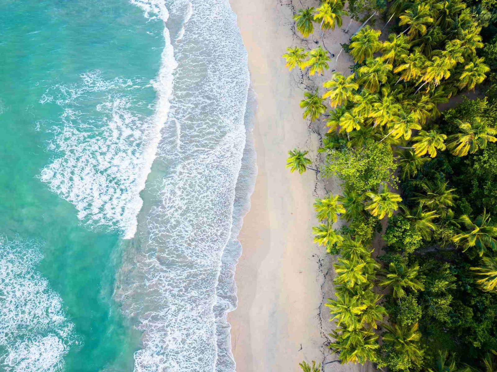 Samana Beach Desktop