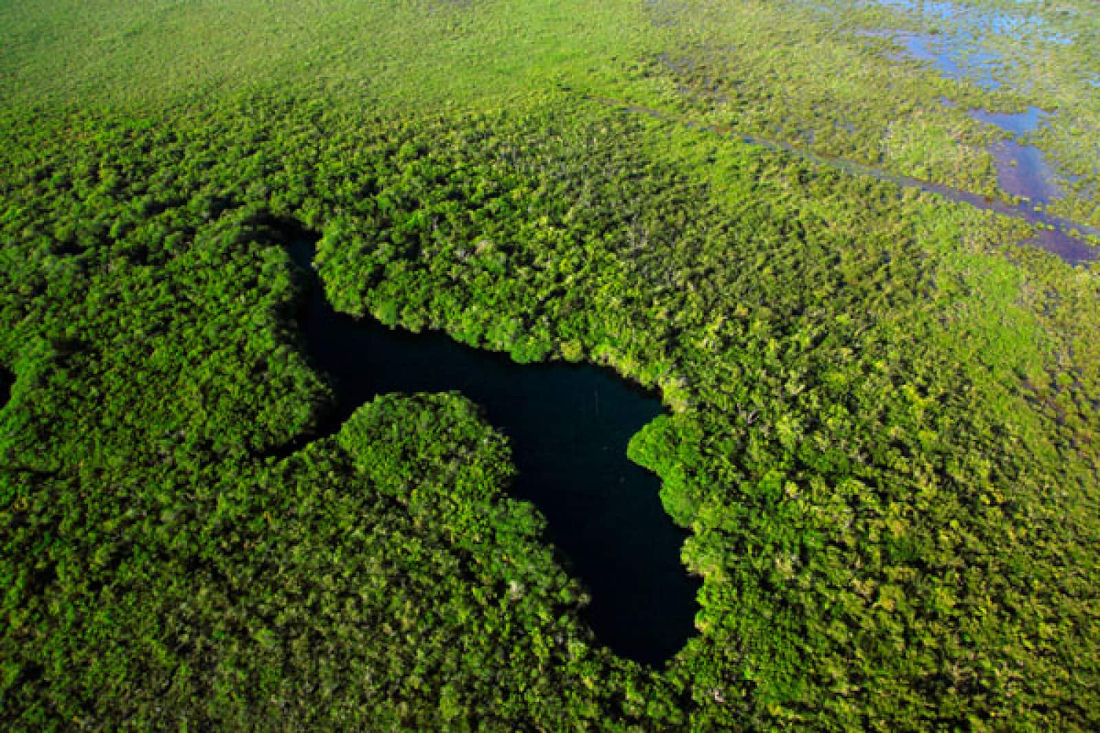 ¿Por qué es importante cuidar el medio ambiente?