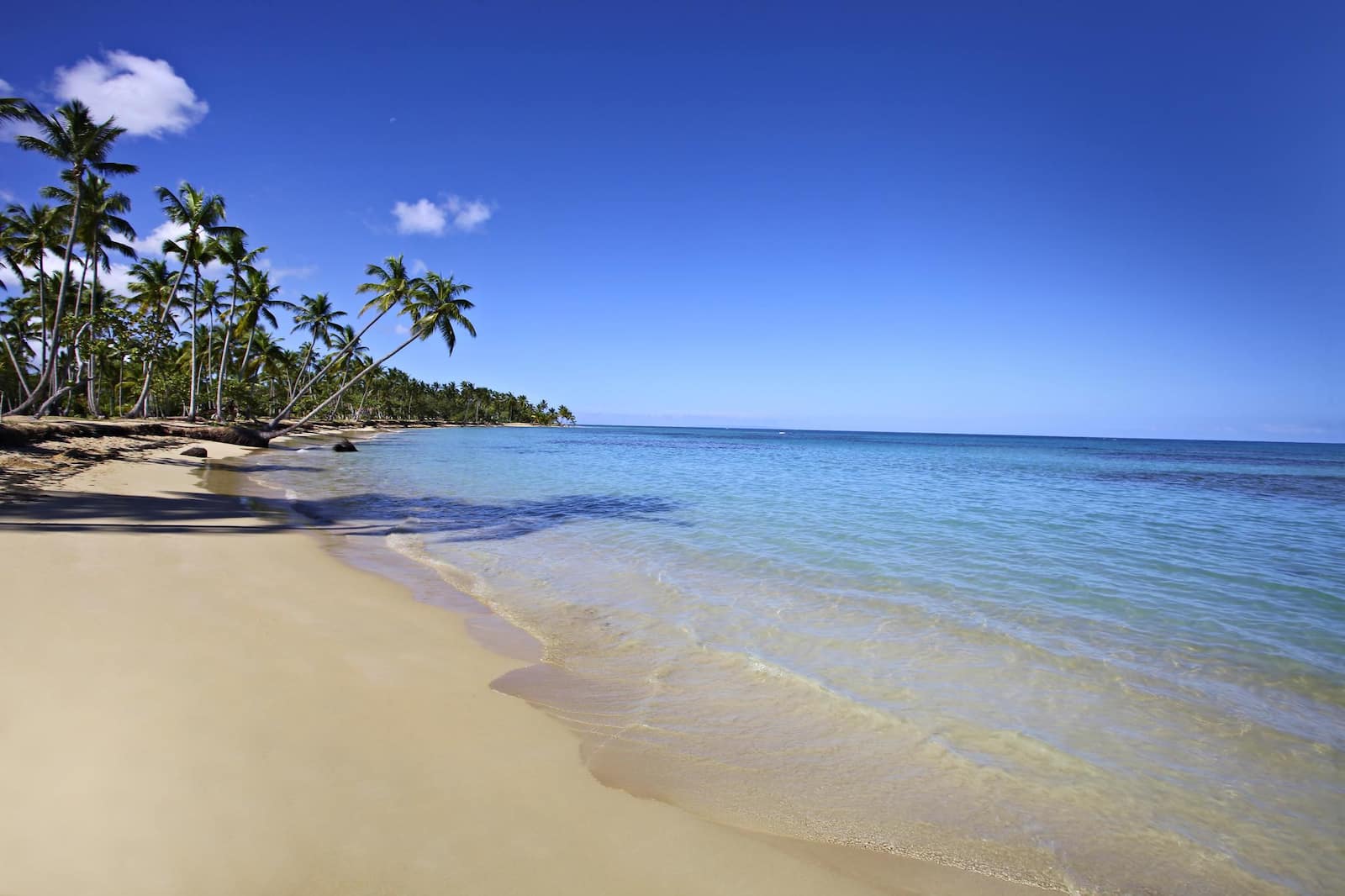 Coppia sulla spiaggia