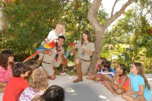 Bahia Scout
