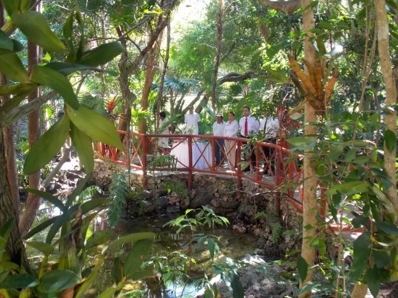 Ritual Cenote