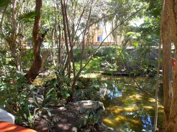 Cenote
