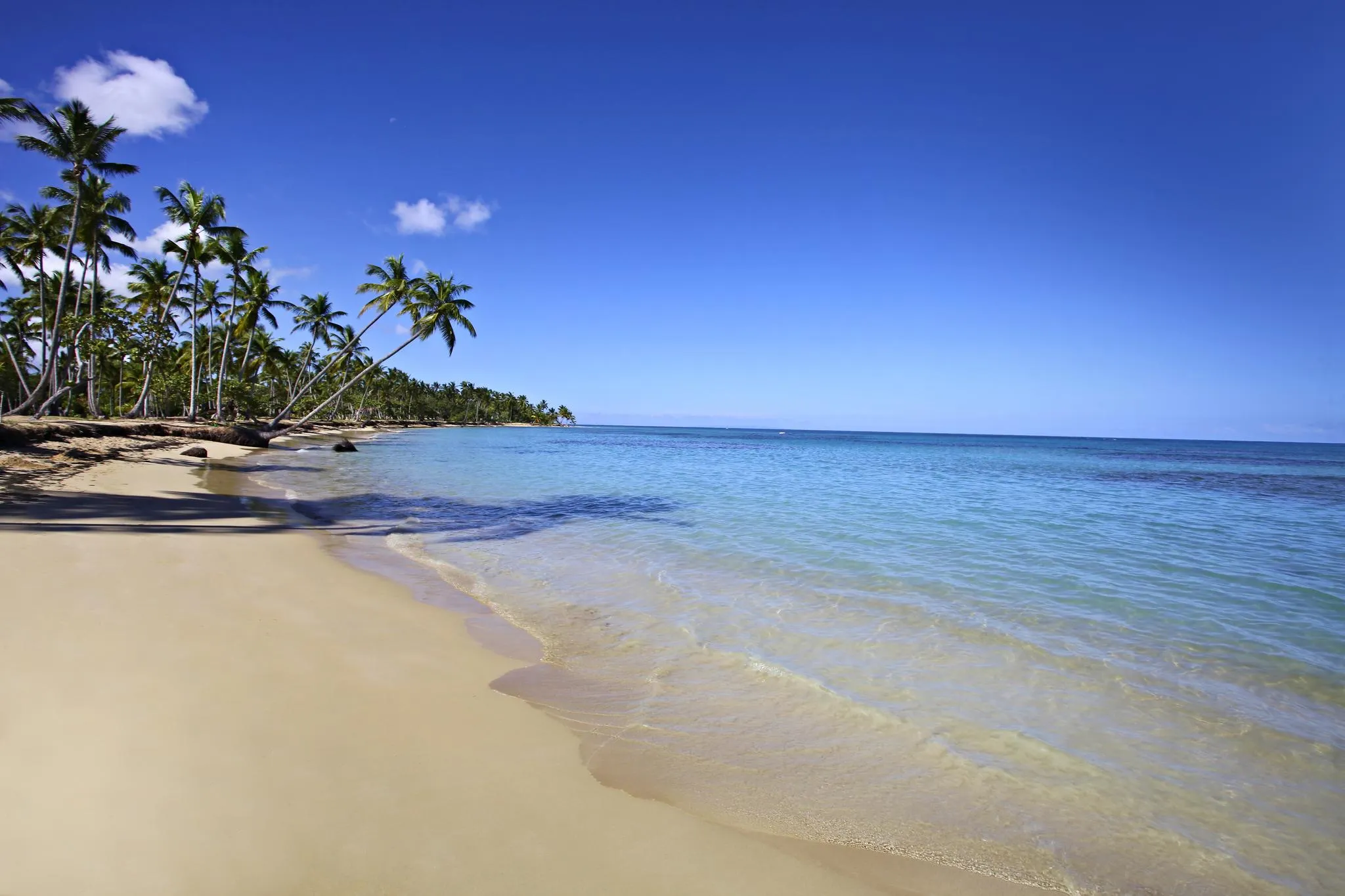 Bahia Principe El Portillo Beach  Desktop
