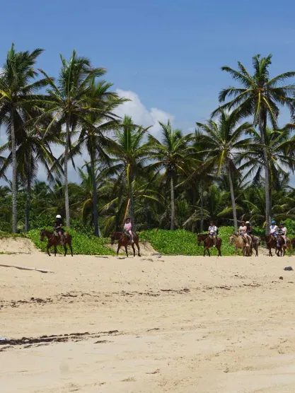 excursions in punta cana