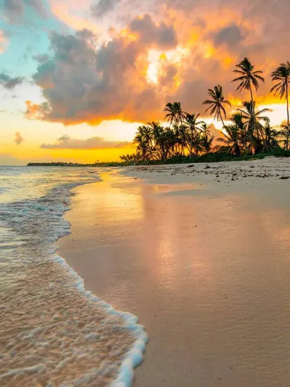 la plage de la Romaine