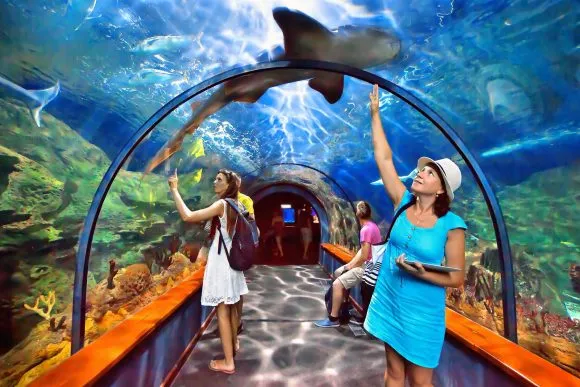 Loro Parque Tenerife