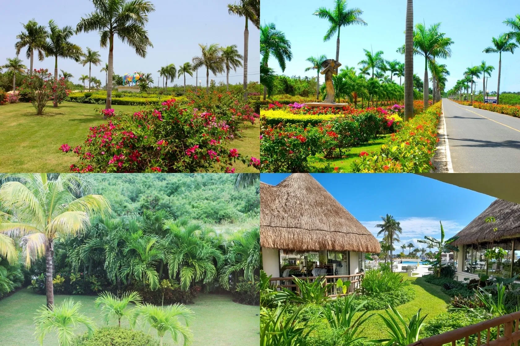 paisajismo1