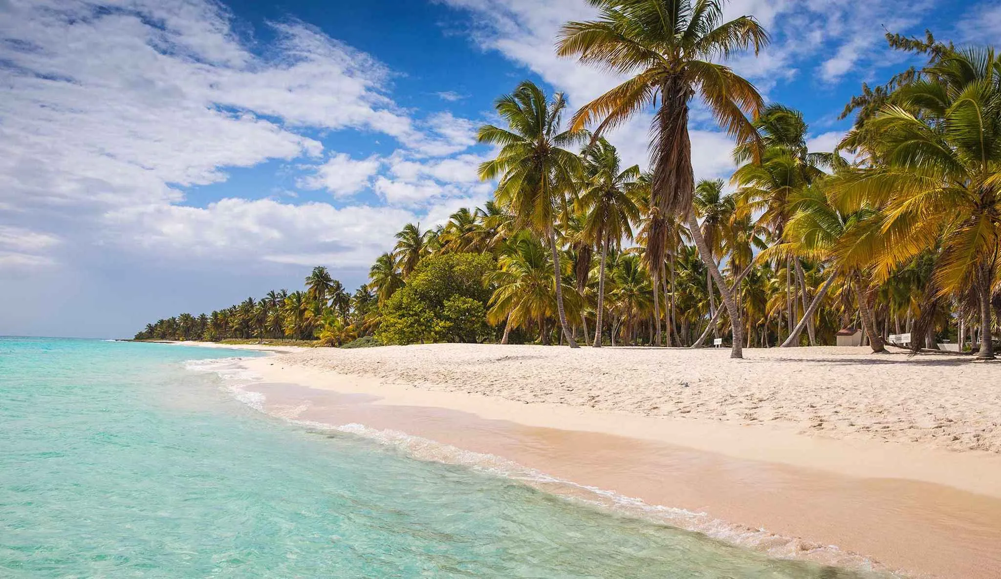 playa de punta cana en república dominicana