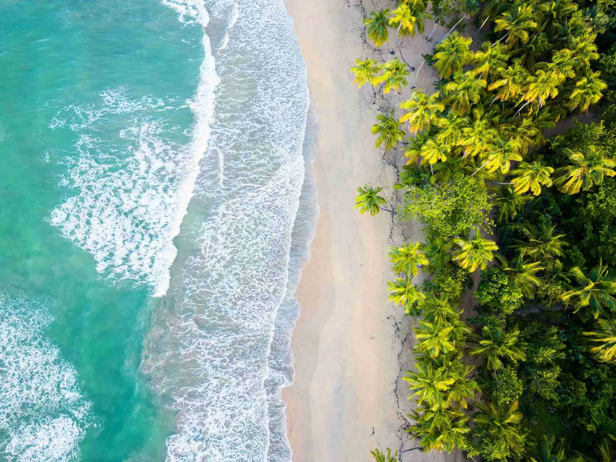 Descubre las Mejores Playas de Samaná | Bahia Principe