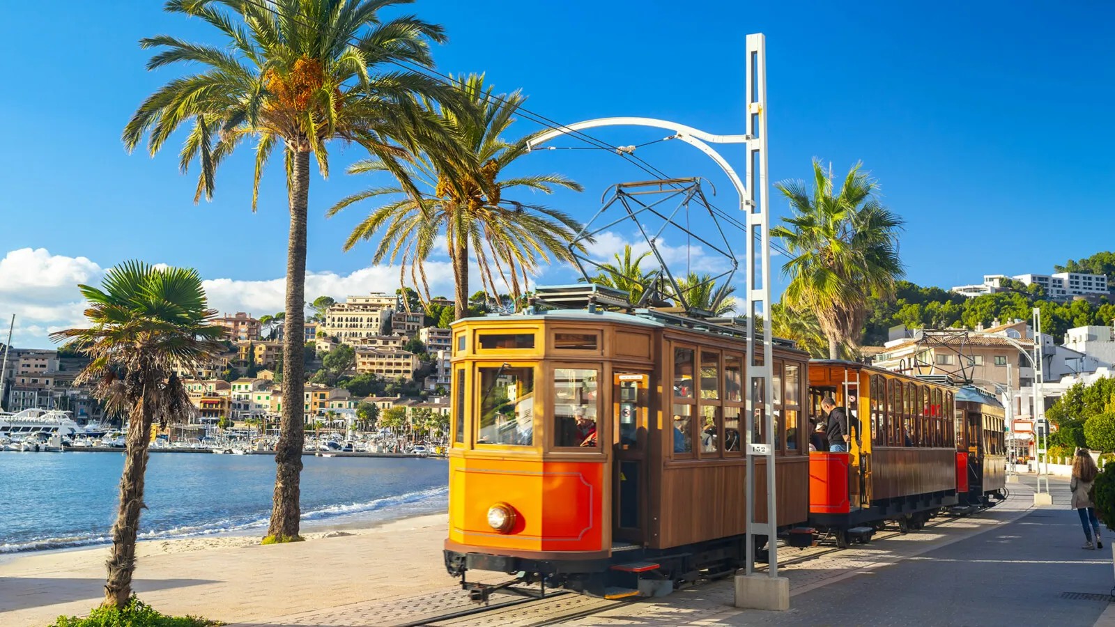 soller1