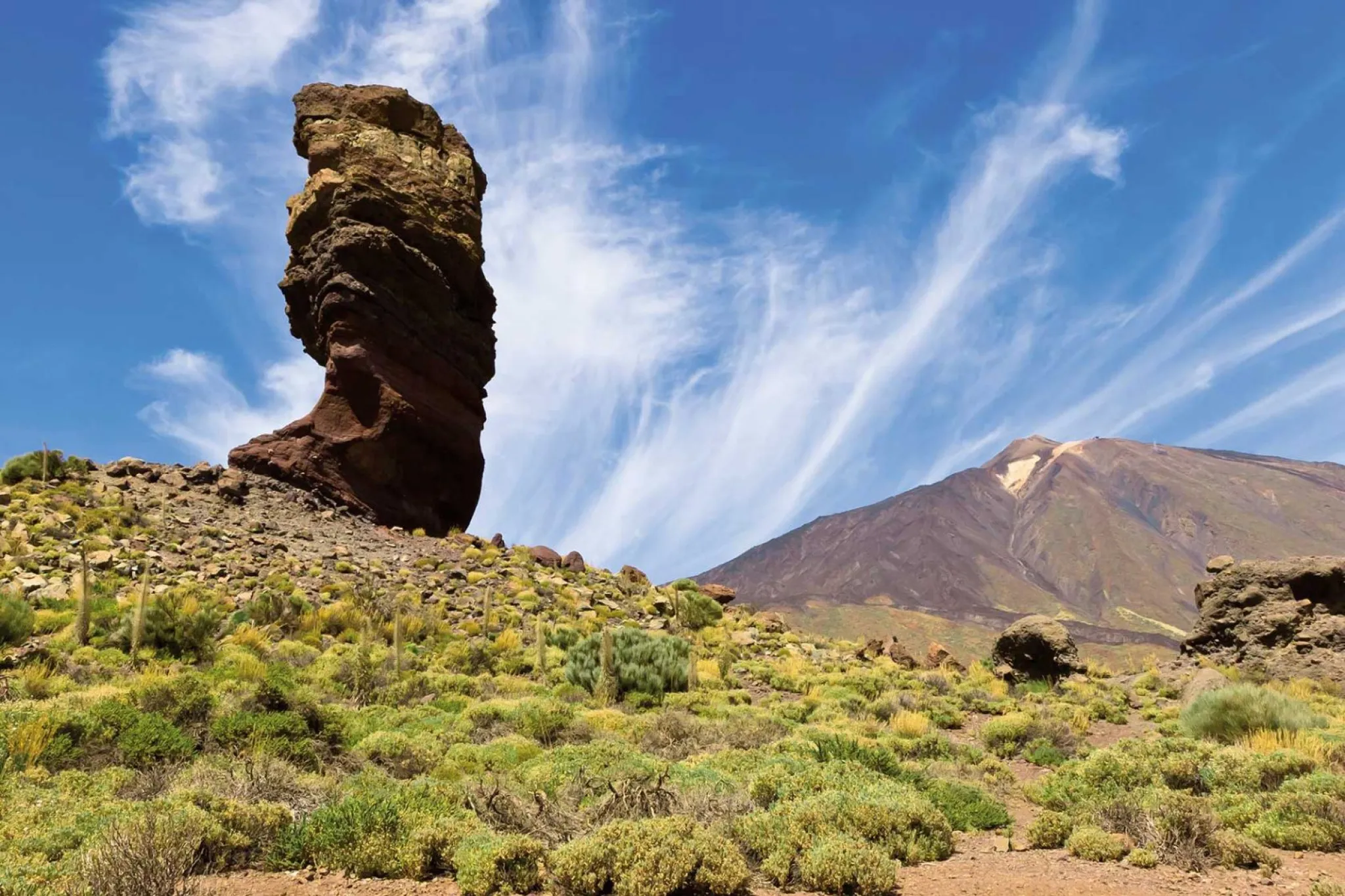 Los Tajinastes en Flor: una experiencia imborrable en Tenerife | Bahia Principe