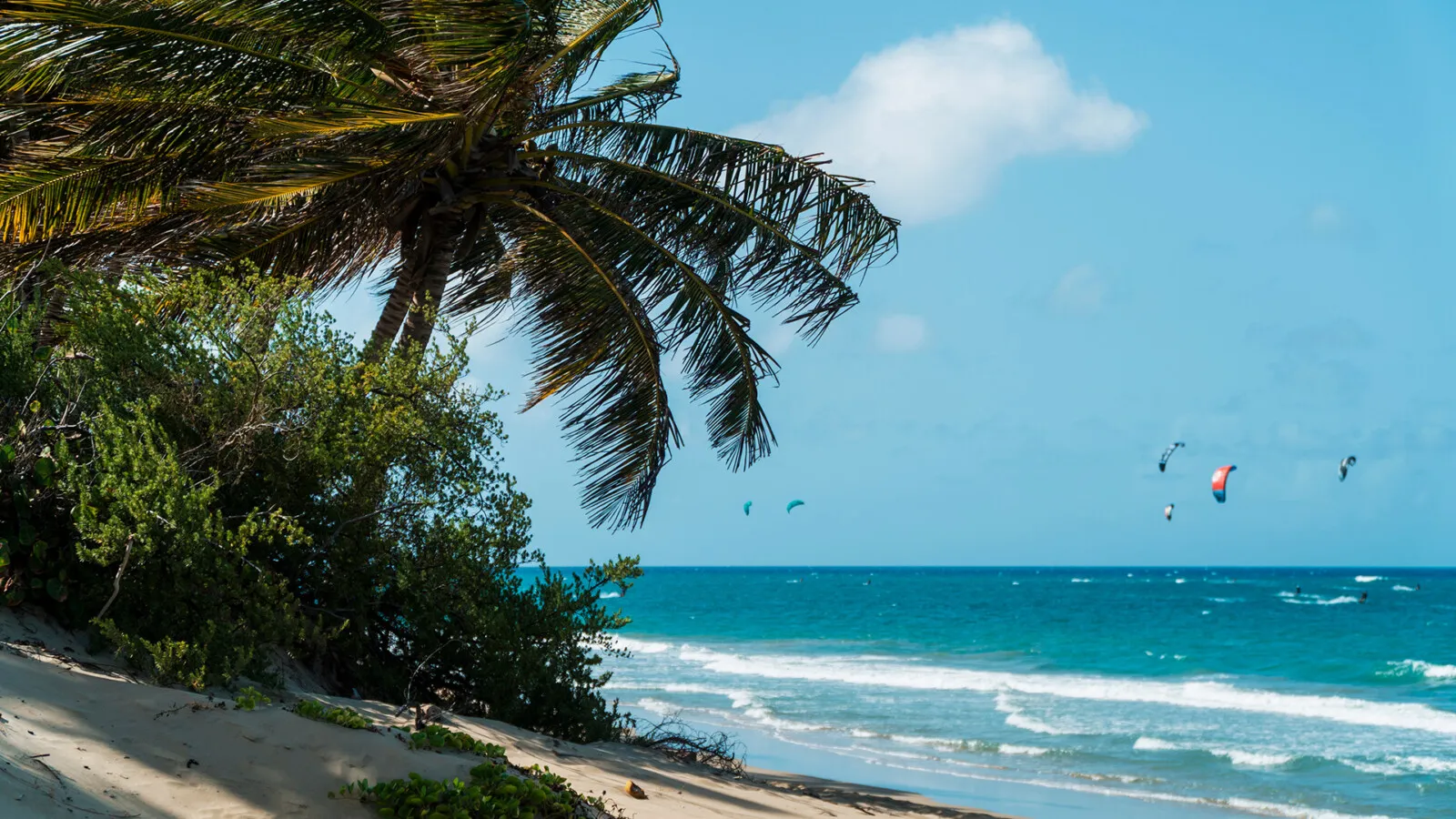 windsurf2